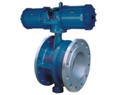 ���(d��ng)��s���y