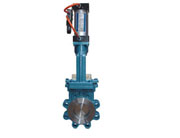 ��ӵ����l�y