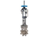 ��ӎ��քӵ����l�y