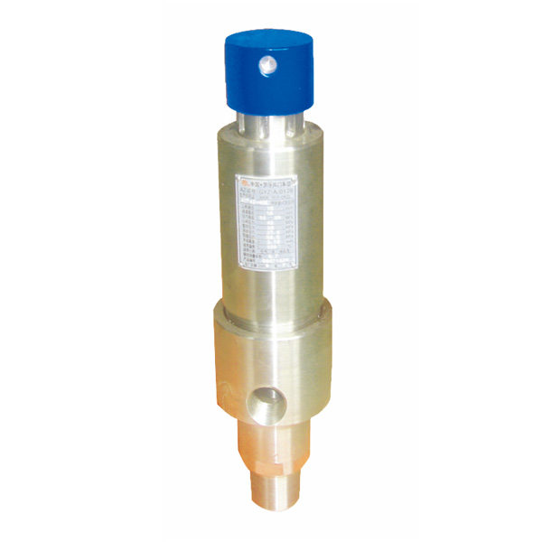 ��ȫ�����y